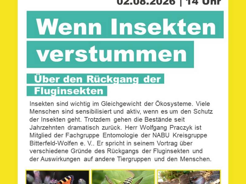 Plakat HS Insektensterben_JV.jpg